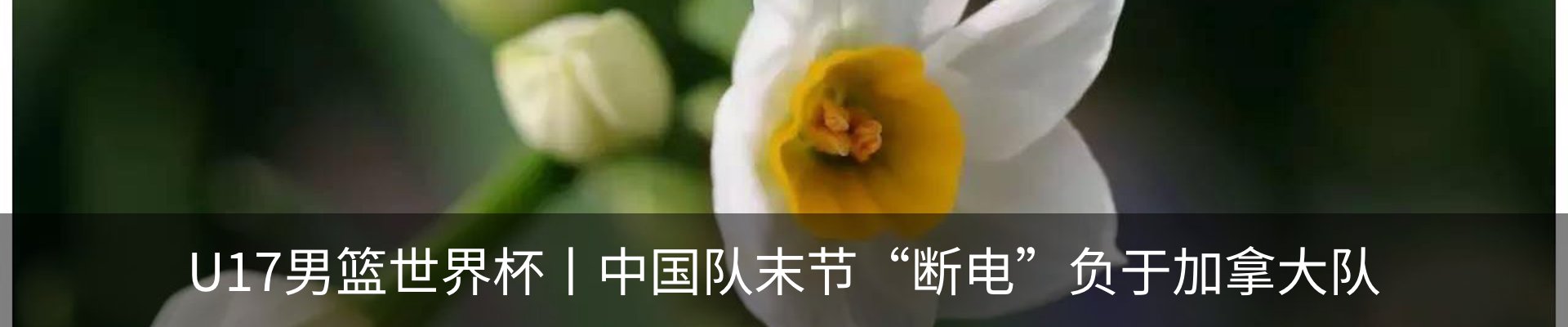 新闻中心