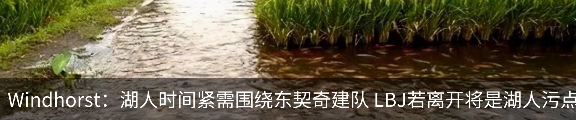 新闻中心